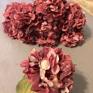 10 win color flowers